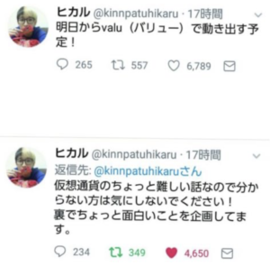 ヒカルの金髪起業家時代 現在の年収は10億前後 会社名と従業員 詐欺ではない J Rock Star